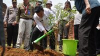 Lestarikan Cagar Budaya Candi  Muara Jambi, Al Haris  Bersama Djarum Foundation Tanam Belasan Ribu Pohon