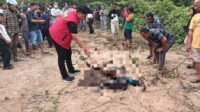 Sesosok Mayat Perempuan Membusuk di Temukan Warga