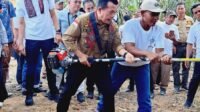 Dumisake Perkebunan Al Haris – Sani Ciptakan Lapangan Kerja