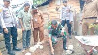 Laksanakan Program Kasad, Dandim 0420/Sarko Letakkan Batu Pertama Kegiatan RTLH