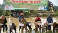 Tanam Padi Sawah Perdana, Gubernur Al Haris Salurkan Bantuan Alsintan dan Traktor Bagi Kelompok Tani