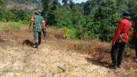 Memasuki Musim Kemarau TNI Patroli Guna Siaga Pencegahan Karhutla