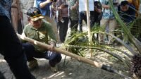 Gubernur Al Haris Panen Perdana Buah Sawit Hasil Program Pembukaan Lahan Tanpa Bakar