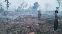 20 Hektar Lahan Kebun Sawit Terbakar, Koramil 03/Pauh Berjibaku Padamkan Api