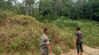 Cegah Karhutla, Anggota TNI Dari Kodim 0420/Sarko Terus Patroli Imbau Warga Tidak Membakar Lahan