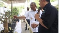 Pj Bupati Merangin Buka Pameran dan Kontes Bonsai