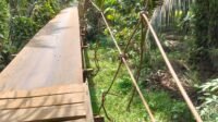 Jembatan Penghubung Koto Baru Seling Terancam Ambruk