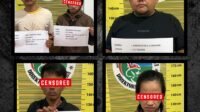 Empat Komplotan Pengedar Narkoba di Tangkap Polisi