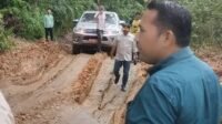 Wujudkan Visi Misi Merangin Baru Bupati M Syukur Tinjau Jalan Tabir Timur dan Tabsel