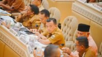 Hadiri RDP Dengan Komisi II DPR RI di Jakarta, Al Haris Harap Regulasi Minerba di Evaluasi