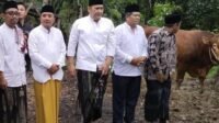 Bupati M Syukur Serahkan Sapi Kurban dari Presiden di Kecamatan Sungai Manau