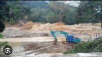 Excavator Tambang Ilegal Yaman Suami Mantan Camat Tabir Ulu Jarah Kekayaan Alam Rantau Ngarau