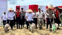 Gubernur Al Haris dan Kapolda Jambi Tanam Jagung Serentak
