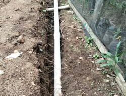 Masa Kontrak Proyek SPAM Meregang Nyawa, Kabid Cipta Karya: Jangan Tanya Itu Lagi Pusing