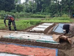 TNI AD Bantu Petani Wujudkan Program Ketahanan Pangan