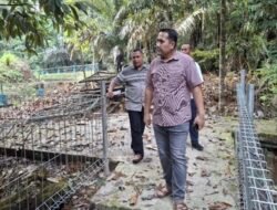 Objek Wisata Aboretum Rio Alip Dusun Mudo Merangin Siap Manjakan Mata Pengunjung