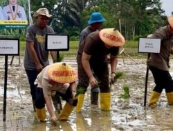 Bupati M Syukur Sebut Pertanian Kabupaten Merangin Menunjukkan Tren Positif Dari Tahun Sebelumnya