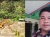 Perangkat Desa Ngaol Cukong PETI Ilegal Menggunakan Excavator