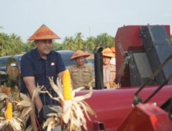 Bupati M. Syukur Yakin Merangin Jadi Lumbung Pangan Provinsi Jambi