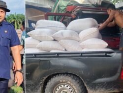 Gerakan Tanam Jagung Serentak Berhasil, Pemkab Merangin Jual Produksi Jagungnya ke Bulog