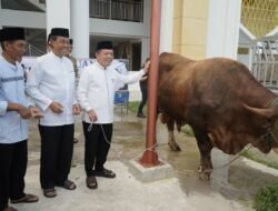 Islamic Center Jadi Saksi Ketika Gubernur Al Haris Serahkan Sapi Kurban Bantuan Presiden Prabowo Subianto