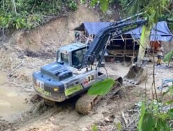 Nama Kepsek SD 132 Sungai Jering Mencuat, Terlibat Main Tambang Emas Ilegal