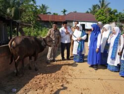 Hesti Haris bersama BKMT dan Posyandu Serahkan Hewan Kurban Tiga Ekor Sapi di Desa Tangkit dan Kelurahan Kasang