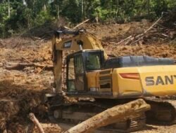 Aktivitas Tambang Ilegal Milik H. Bambang Bebas Beroperasi Jarah Emas Isi Alam Lantak Seribu