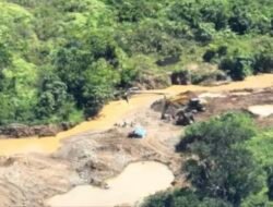 Kades Pulau Baru “ Naik Pitam” Empat Alat Berat PETi Gasak Wilayah Adat Desa Pulau Baru