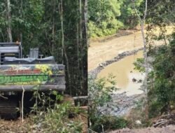 Geopark Merangin Hacur di Hajar Alat Berat PETI Anak Exs Anggota DPRD Provinsi Jambi  dan Exs Kadus Desa Baru, Kadis Parpora Siap Laporkan