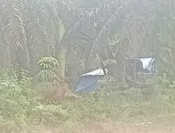 Alat Berat Zoomlion Tomas Gasak Isi Alam Titian Teras