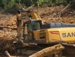 Nekat Buka Tambang Ilegal Menggunakan Alat Berat di Bangko Tinggi, Taat Warga Talang Kawo di Incar Polisi