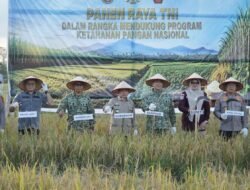 Gubernur Al Haris Panen Raya Bersama TNI di Desa Kota Baru Geragai