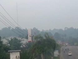ISPU Merangin Capai 183, Kualitas Udara Masuk Kategori Tidak Sehat