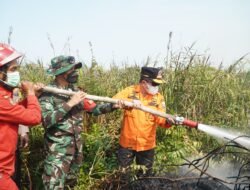 Lewati Medan Sulit, Al Haris Berjibaku Padamkan Karhutla di Pelosok Tanjabtim