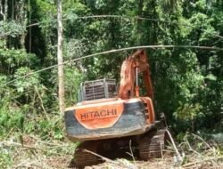 Tiga Alat Berat PETI Sempat Ditahan di Batang Mesumai,  Dua Unit Alat Berat Kabarnya Milik Tekun