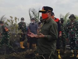 Api Terus Berkobar di Desa Air Merah Muaro Jambi, Gubernur Al Haris Serukan Ulama dan Kiai Salat Istisqa