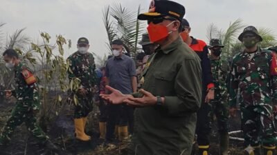 Api Terus Berkobar di Desa Air Merah Muaro Jambi, Gubernur Al Haris Serukan Ulama dan Kiai Salat Istisqa