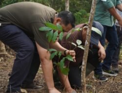 Dukung Kelestarian Hutan, Bupati M. Syukur Bersama Masyarakat Gelar Aksi Tanam Pohon