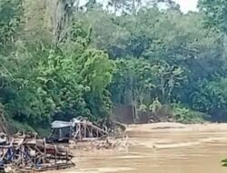Ketua BPD Sidarhana di Sebut “Ratu” PETI Ilegal, Rakit Donfeng Terang Terangan “Rampok” Kekayaan Alam Tanjung Lamin
