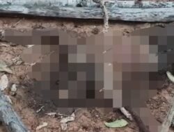 Beberapa Hari Hilang, Lelaki 77 Tahun Ditemukan Membusuk di Kebun Warga