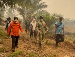 Al Haris dan Danrem Turun Langsung ke Lokasi Karhutla di Kumpeh