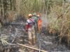 Masih Menyala Pasca Terbakar, Tim Gabungan TNI, Polri, BPBD, Damkar Kembali Keroyok Api