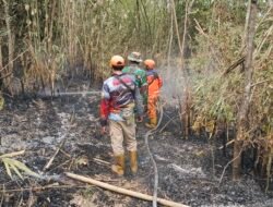 Masih Menyala Pasca Terbakar, Tim Gabungan TNI, Polri, BPBD, Damkar Kembali Keroyok Api